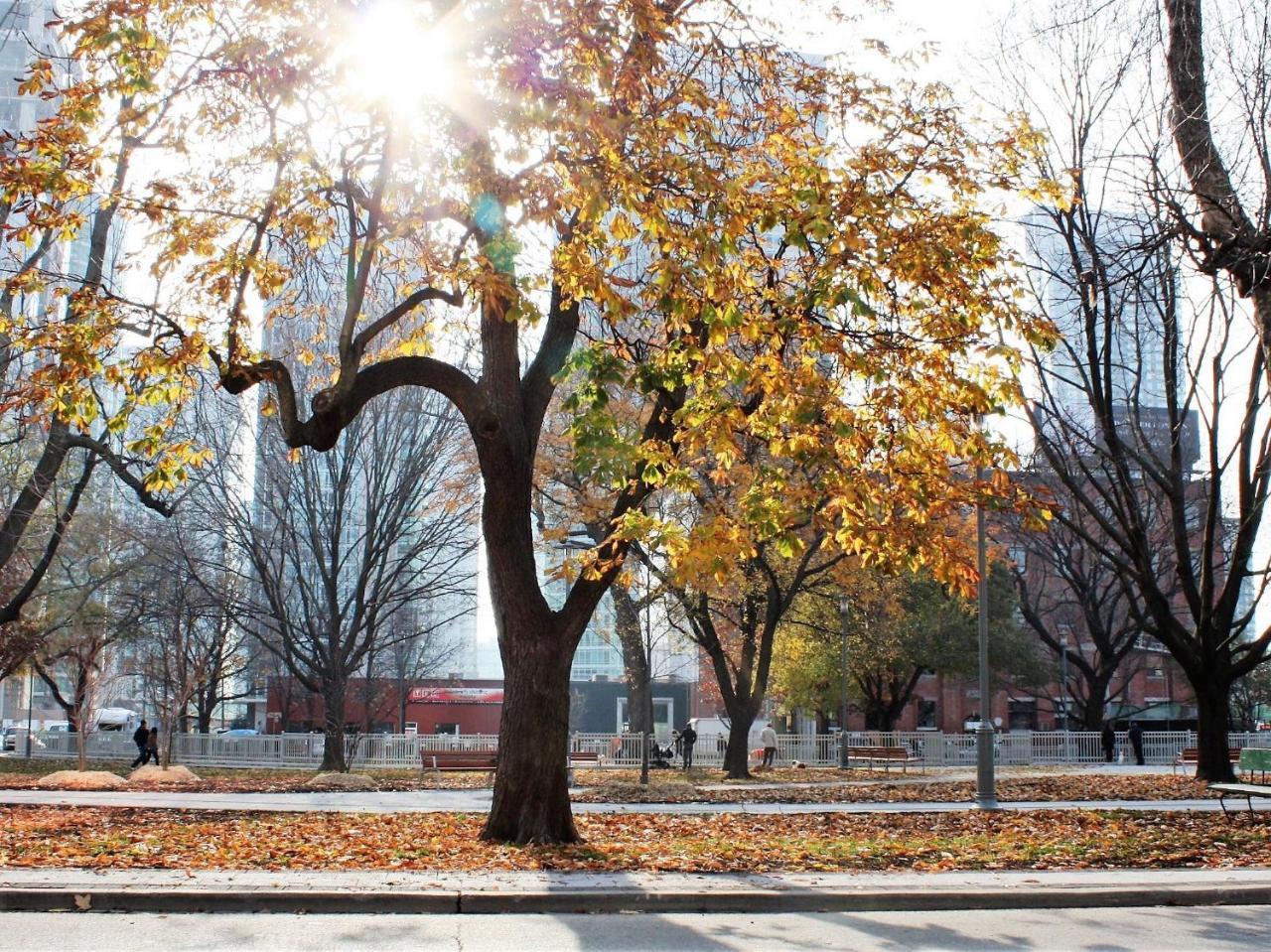 The Clarence Park Vandrerhjem Toronto Eksteriør bilde