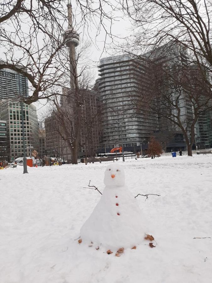 The Clarence Park Vandrerhjem Toronto Eksteriør bilde